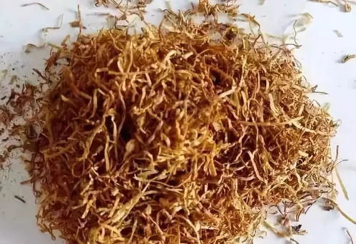 识别真假烟丝 卷烟辨伪的源头之战